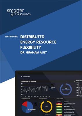 Distributed Energy Resource Flexibility Whitepaper