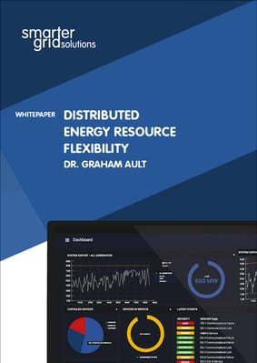 DER Flexibility_Whitepaper DER Flexibility_Whitepaper