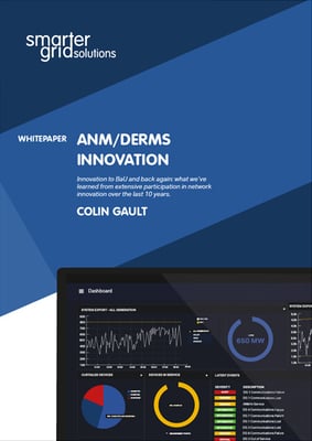 ANM/DERMS Innovation Whitepaper