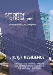 Strata Resilience Brochure cover-1