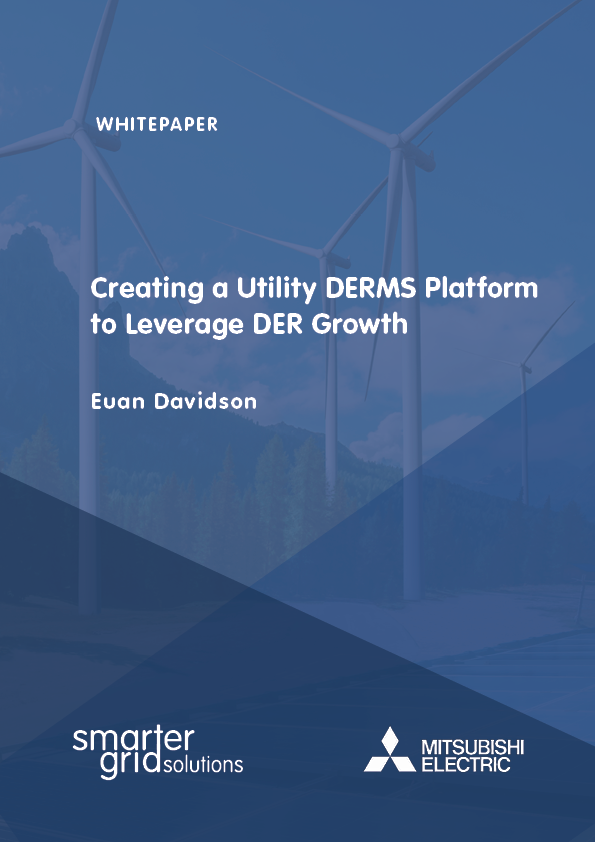 DERMS whitepaper_2023 cover